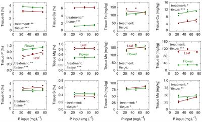 Sustainable Cannabis Nutrition: Elevated root-zone phosphorus significantly increases leachate P and does not improve yield or quality